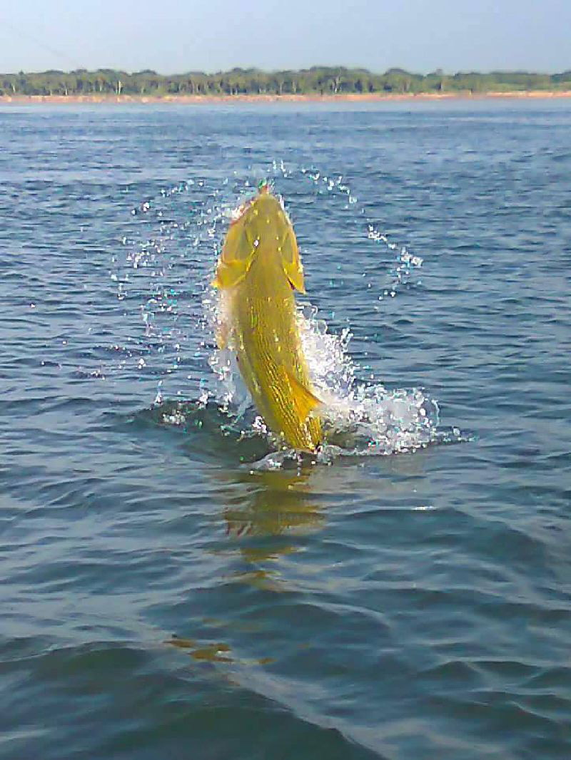 GUÍA DE PESCA EN PASO DE LA PATRIA - fansfishing