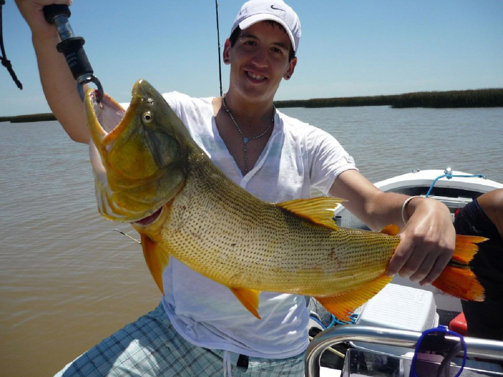 PESCA
DE DORADO 2017, fansfishing